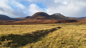 Autumn hill walking, Carn Dearg