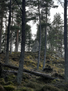 Queen Victoria's cairns on Balmoral