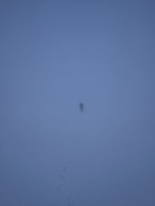 Tricky Navigation in winter